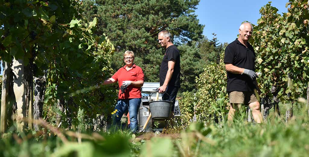 Hufnagel - Neckenmarkt