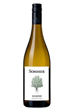 Grüner Veltliner Schiefer 2025 <br />Sommer - Donnerskirchen