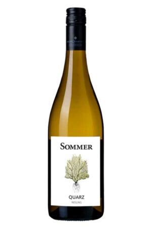 Riesling Quarz 2024 <br />Sommer - Donnerskirchen